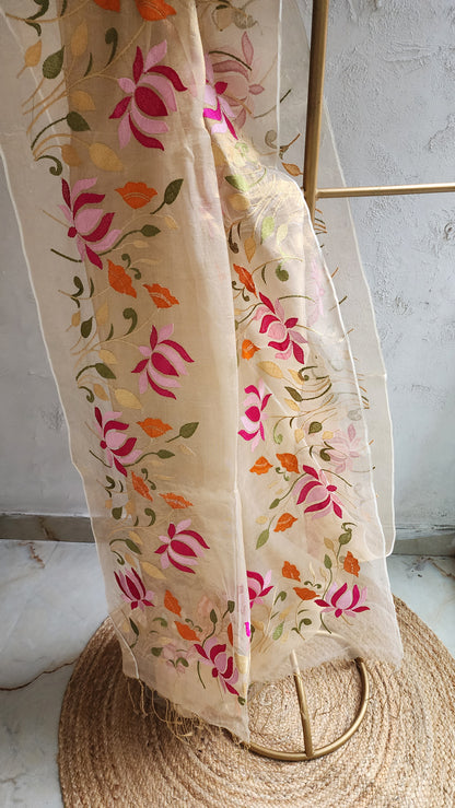 Safa Sheen Raga Saree