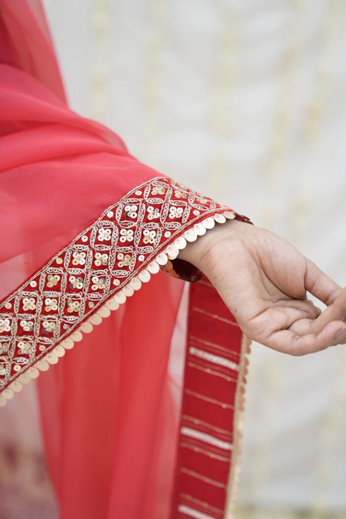 Red Organza Saree