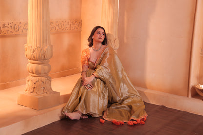 Zarina Tissue Raga Saree