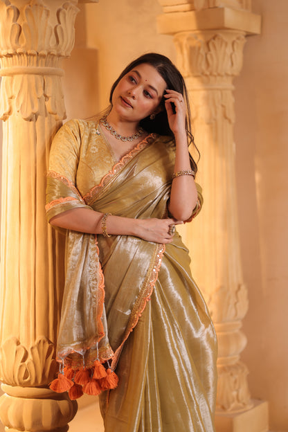 Zarina Tissue Raga Saree