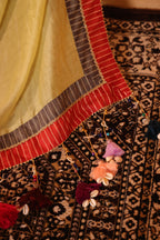 Zaranoor Saree